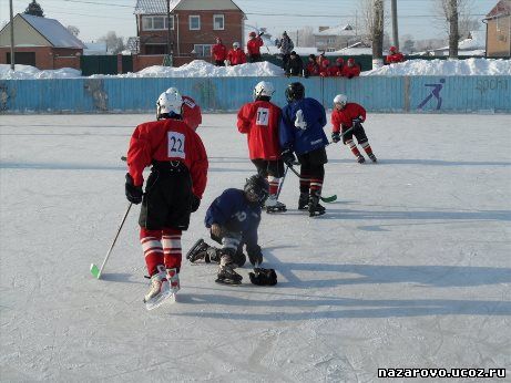  Муниципальный этап в рамках «Школьная спортивная лига»
по хоккею «Золотая шайба»
 